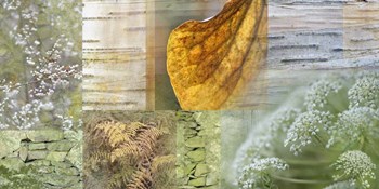 White Woodland Collage by Cora Niele art print