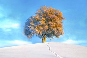 Last Show by Ata Alishahi art print