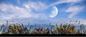 Blowing in the Wind by Ata Alishahi art print