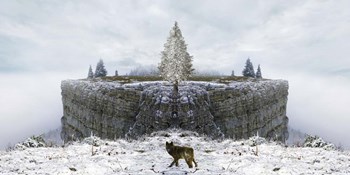 Lone Wolf by Ata Alishahi art print