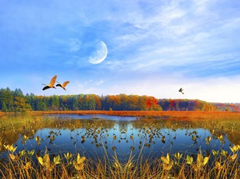 Flying by Ata Alishahi art print