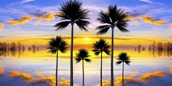 Sunset Palms by Ata Alishahi art print