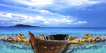 Weathered by Ata Alishahi art print