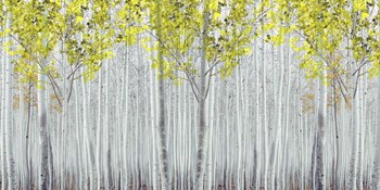 White Forest by Ata Alishahi art print