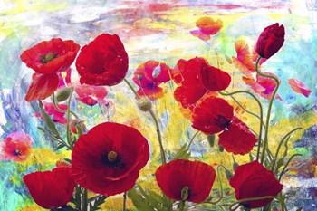 Red Poppies by Ata Alishahi art print