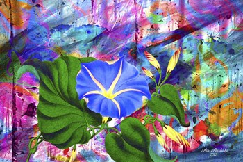 Morning Glory by Ata Alishahi art print