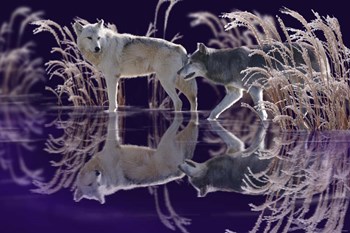 The Edge of Winter by Gordon Semmens art print