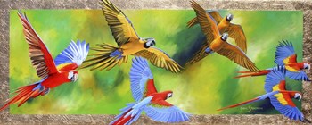 Parrot Party by Graeme Stevenson art print