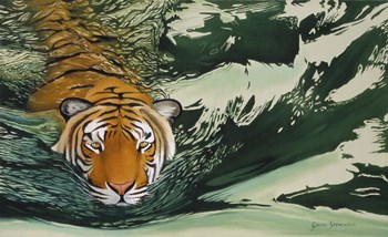 Tiger Waters by Graeme Stevenson art print