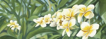 White Fran by Graeme Stevenson art print