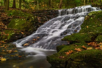 Abbey Pond Cascades by Brenda Petrella Photography LLC art print
