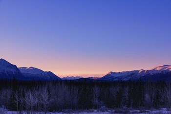 Alpenglow by Brenda Petrella Photography LLC art print
