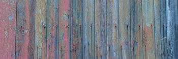 Barn Board by Brenda Petrella Photography LLC art print