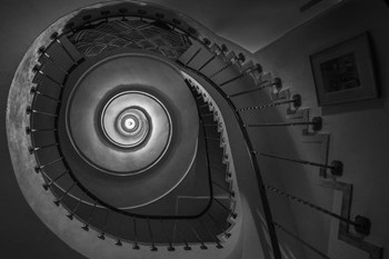 Finding Fibonacci by Brenda Petrella Photography LLC art print