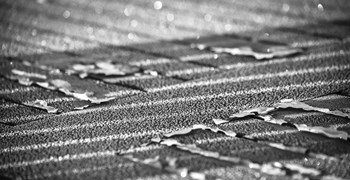 Frost Lines by Brenda Petrella Photography LLC art print