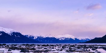 Frozen Shoreline by Brenda Petrella Photography LLC art print