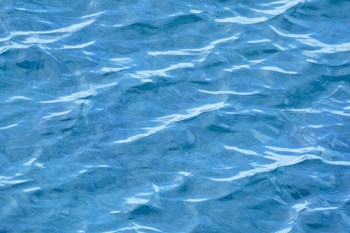 Gentle Ripples by Brenda Petrella Photography LLC art print