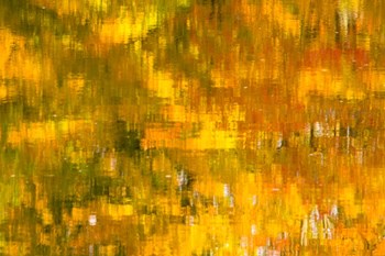 Glowing Waters by Brenda Petrella Photography LLC art print