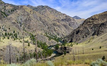 High Desert by Brenda Petrella Photography LLC art print