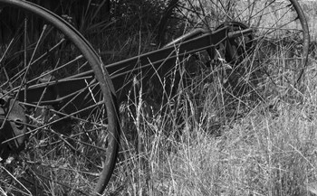 Iron And Hay by Brenda Petrella Photography LLC art print