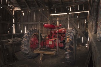 Old Farmall by Brenda Petrella Photography LLC art print