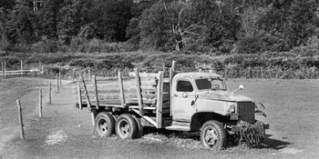 Old Reliable - B&amp;W by Brenda Petrella Photography LLC art print