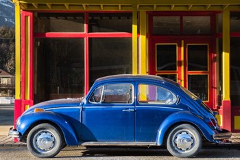 Primary Colors by Brenda Petrella Photography LLC art print