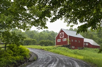 Red Barn by Brenda Petrella Photography LLC art print