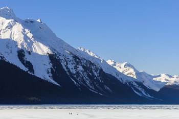 Saturday Morning Skate by Brenda Petrella Photography LLC art print