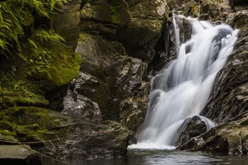 Secluded Falls by Brenda Petrella Photography LLC art print