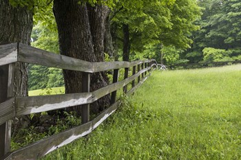 Split Rail Fence by Brenda Petrella Photography LLC art print