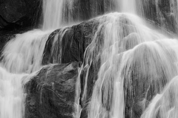 Sprayed by Brenda Petrella Photography LLC art print