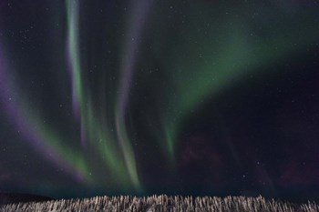 Swirls Of Wonder by Brenda Petrella Photography LLC art print