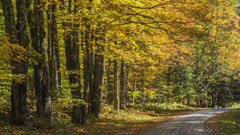 Take Me Home by Brenda Petrella Photography LLC art print