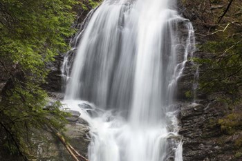 Tranquility by Brenda Petrella Photography LLC art print