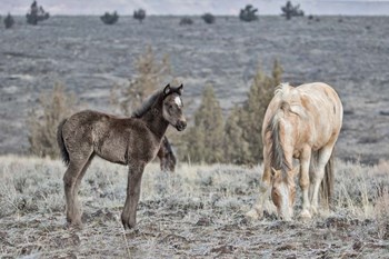 Precious and Dad (Casper) by Larry McFerrin art print