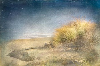 Starry Beach by Ramona Murdock art print