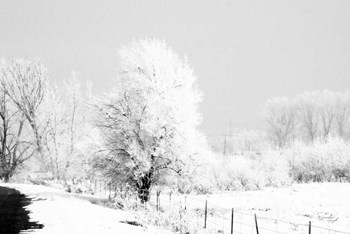 Winter Scene by Jennifer Pugh art print