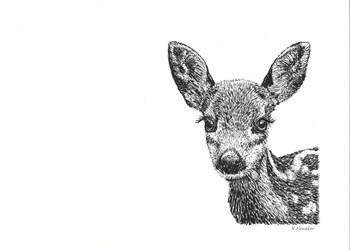 Deer by Let Your Art Soar art print