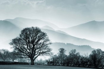 Blue Landscape with Tree by Tom Quartermaine art print