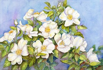 White Roses by Joanne Porter art print