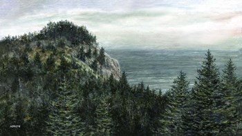 White Head by John Morrow art print