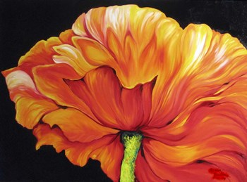 A Single Poppy by Marcia Baldwin art print