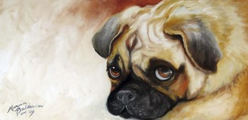 Cutie Pie Pug by Marcia Baldwin art print