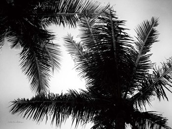 Palm Tree Looking Up I by Debra Van Swearingen art print