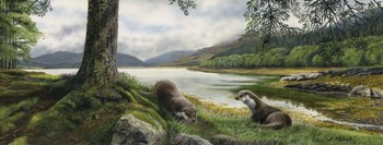 Otters by Nigel Artingstall art print