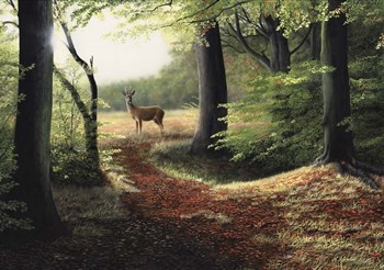 Roe Deer by Nigel Artingstall art print