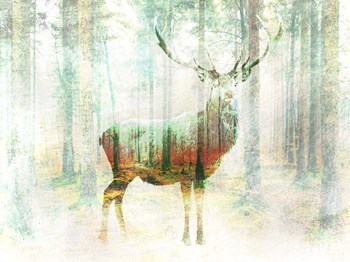 Lord of the Woods by Arlo Wren Photos art print