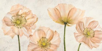 Poppies in Pink by Luca Villa art print