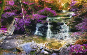 What Dreams May Come by 5fishcreative art print